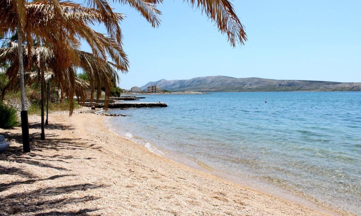 Vidalici Apartment | One bedroom apartment with terrace and sea view Vidalići, Pag (A-9382-c)