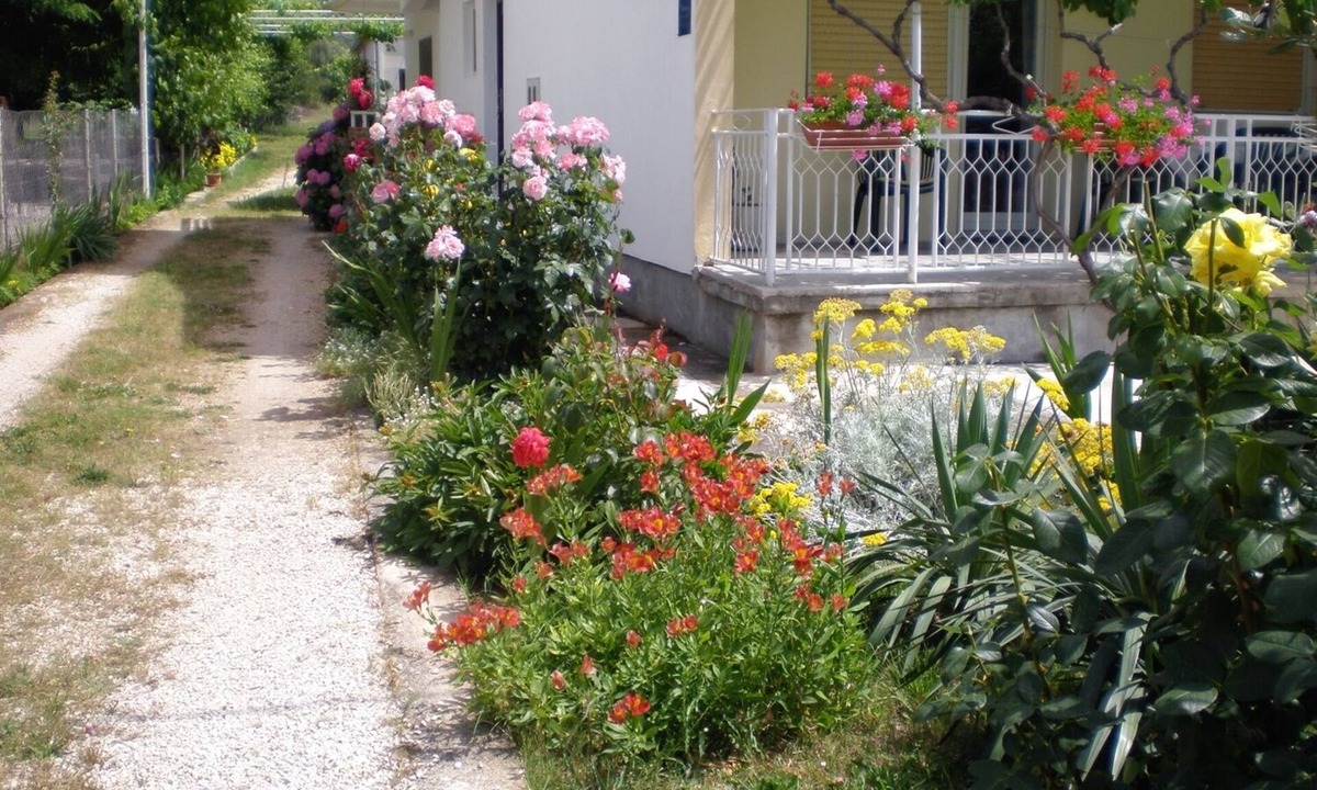 Sukosan Apartment | One bedroom apartment with terrace Sukošan, Zadar (A-5802-c)