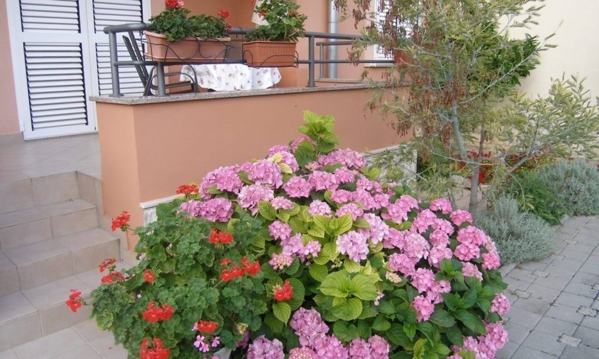 Sukosan Apartment | One bedroom apartment with balcony Sukošan, Zadar (A-14970-a)