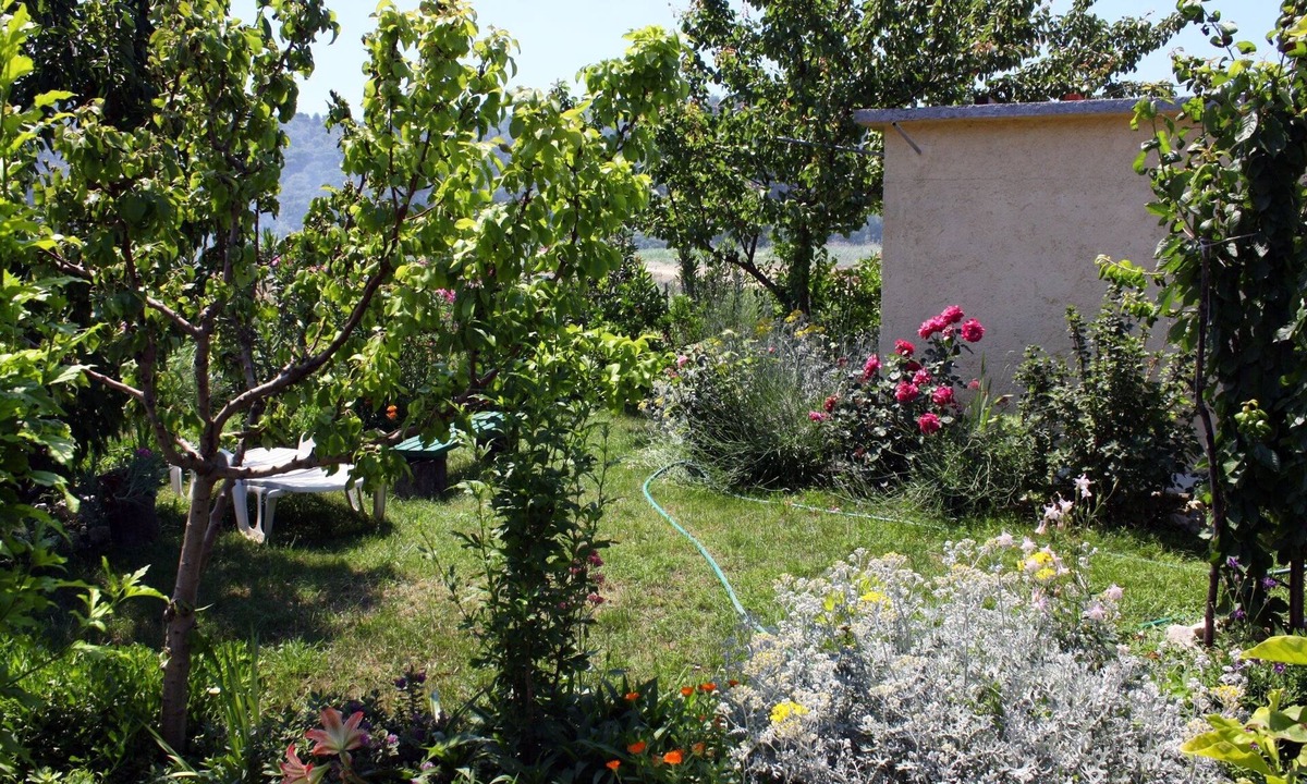 Suha Punta Apartment | One bedroom apartment with terrace and sea view Kampor, Rab (A-4972-b)