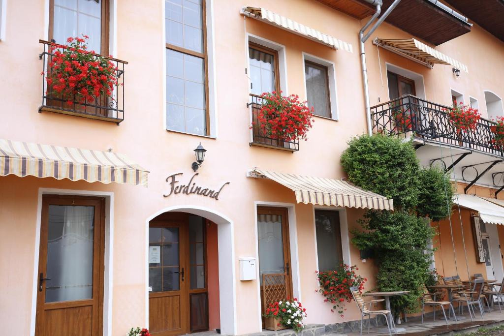 Sfantu Gheorghe House | Pension Ferdinand Panzio