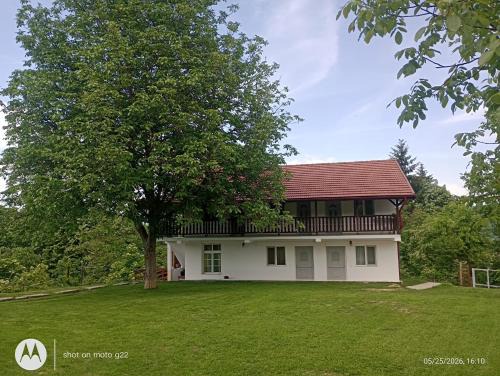 Geoagiu House | Pensiunea Leon Geoagiu băi