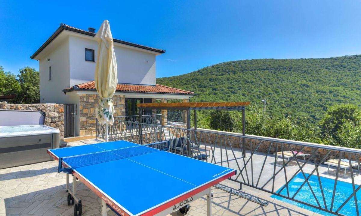 Ledenice House | Private Villa with WIFI, hot tub, private pool, A/C, TV, terrace, pets allowed, panoramic view