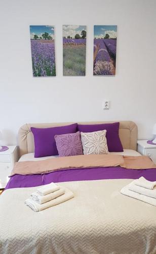 Odorheiu Secuiesc Apartment | Rózsa apartman