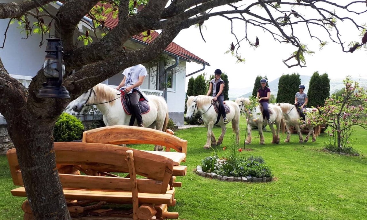 Irinovac House | Ranch Terra