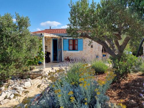 Nevidane House | Robinson house Ruža