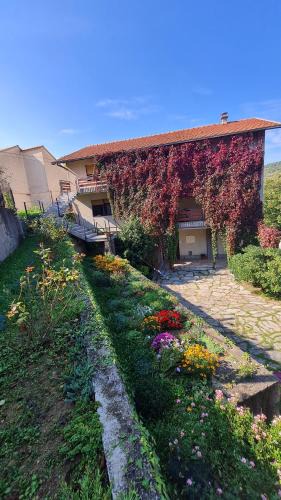 Cove Parja House | Rooms "Nada Zunic"