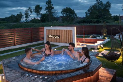 Brasov Villa | Roots Villa Sequoia
