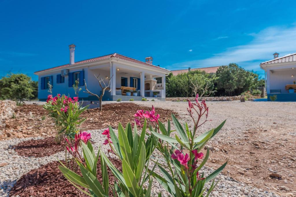 Dragove House | Sakarun House - Ivana