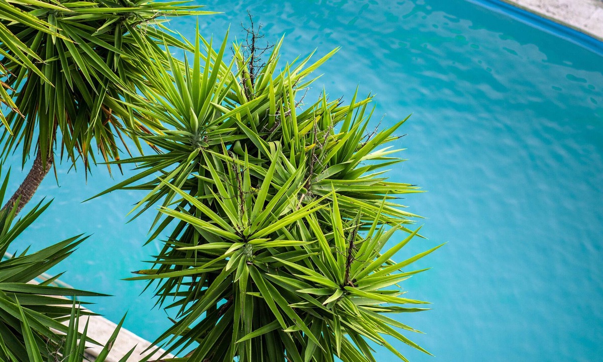 Kozino Apartment | Seaview Apartment with Shared Pool