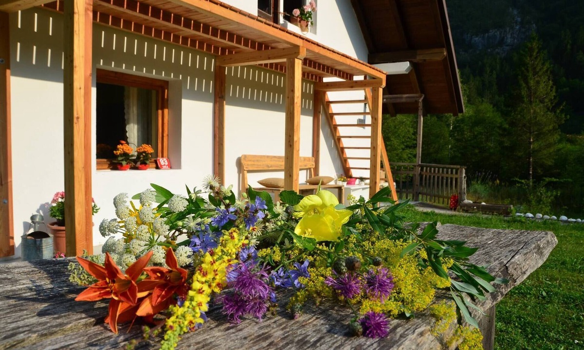 Soca Apartment | Soča Home With The View
