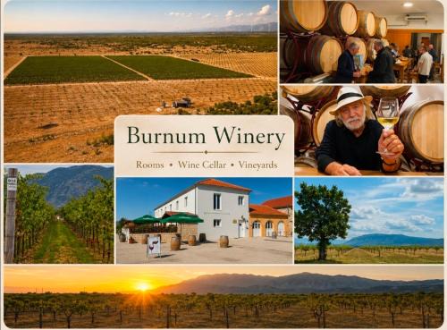 Biskupija Bed & Breakfast | Sobe Burnum