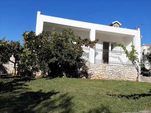 Podglavica Apartment | Spacious apartment Zivkovic with balcony, big garden and grill