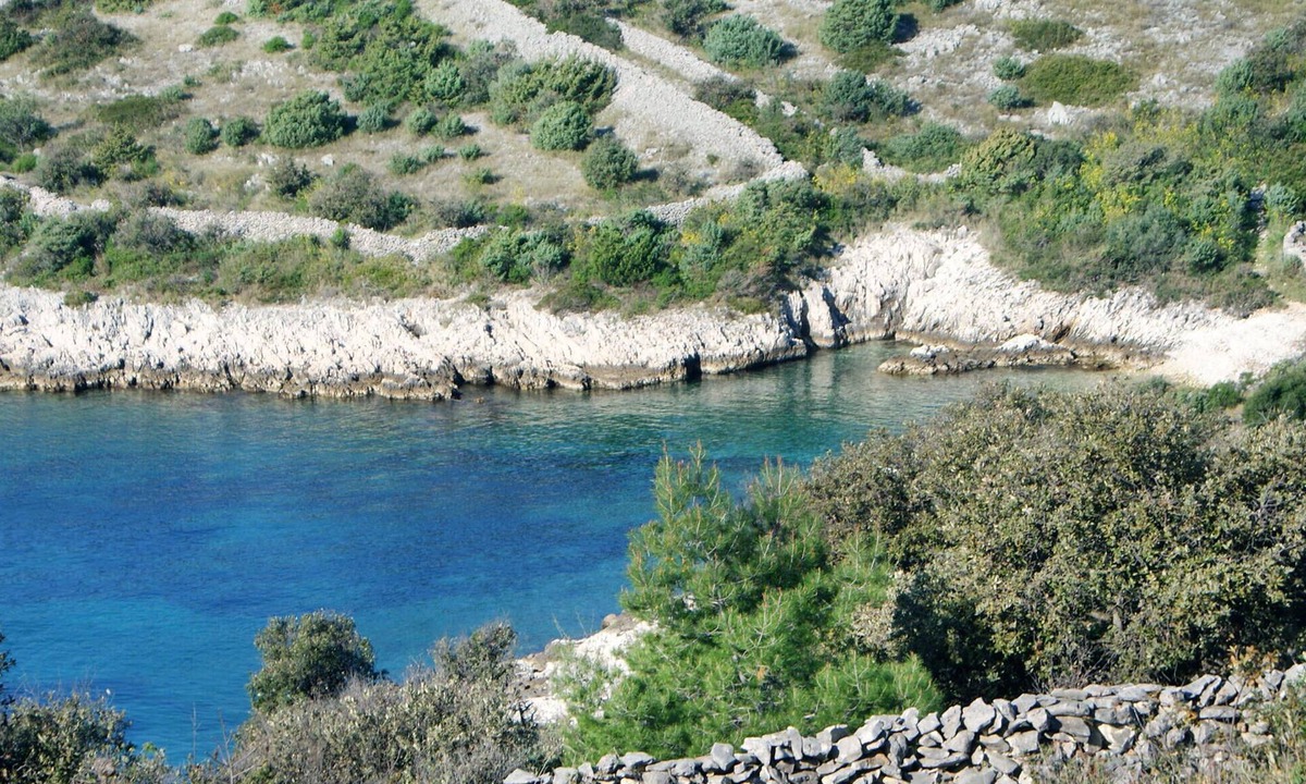 Dvornica House | Spend a pleasant vacation in this bungalow, only about 50 meters from the pebble beach.