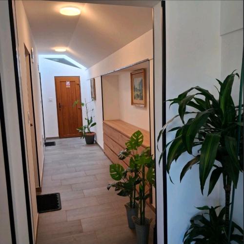 Nedelisce Apartment | Studio apartmani Atlantik