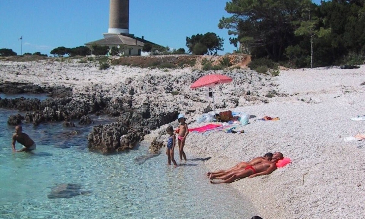 Veli Rat Apartment | Studio apartment in Veli Rat with Seaview, Balcony, Washing machine (882-1)
