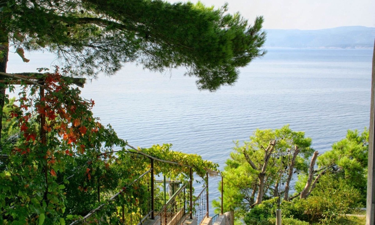 Marusici Apartment | Studio flat with terrace and sea view Marušići, Omiš (AS-1024-d)