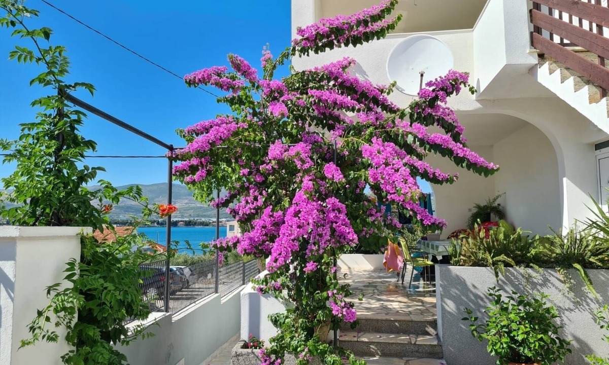 Arbanija Apartment | Three bedroom apartment with terrace Arbanija, Čiovo (A-11321-a)
