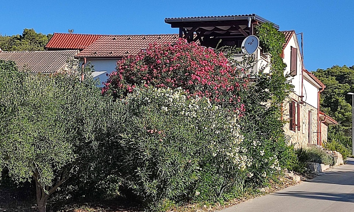 Rukavac Apartment | Three bedroom apartment with terrace Rukavac, Vis (A-23763-a)