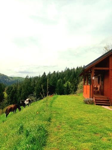 Predjama House | Tiny house