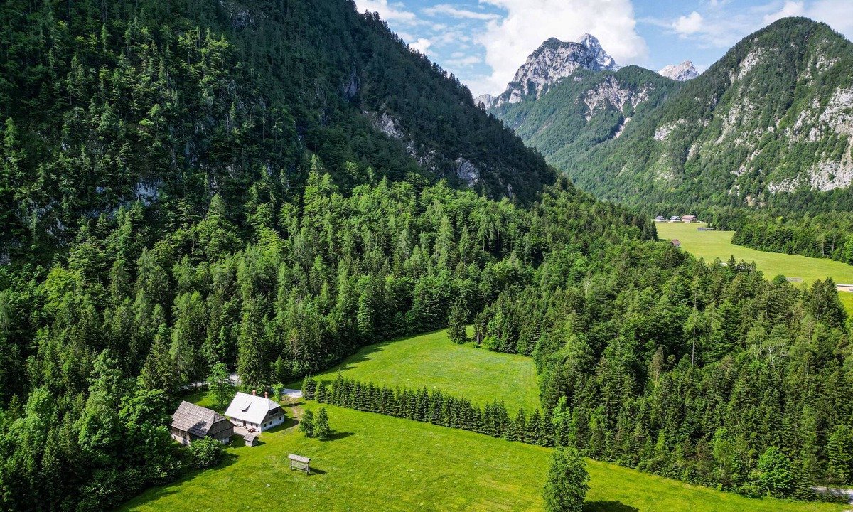 Mojstrana House | Traditional homestead Guhar in Radovna Valley