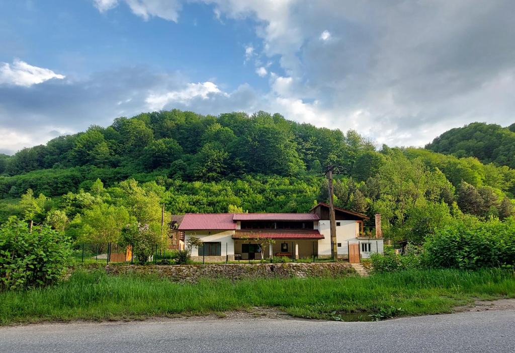 Petrosani House | Transilvania 10 - Casa Poarta Văii Jiului