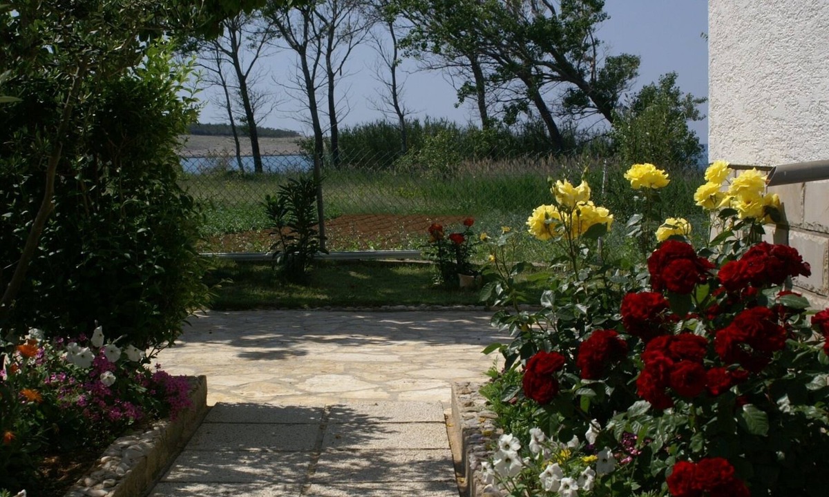 Povljana Apartment | Two bedroom apartment with terrace and sea view Povljana, Pag (A-230-a)