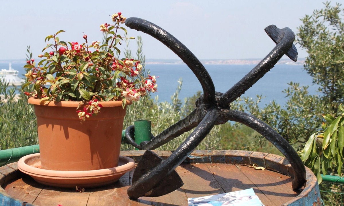 Kali Apartment | Two bedroom apartment with terrace and sea view Kali, Ugljan (A-834-a)
