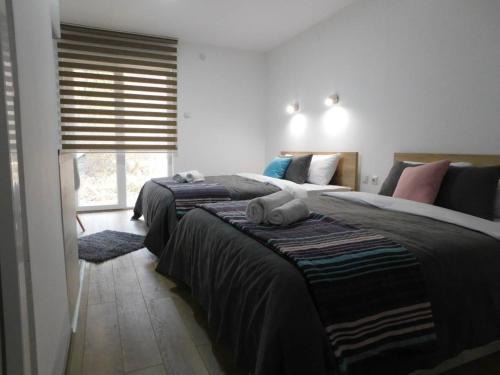 Stara Planina Apartment | Vila Vrh