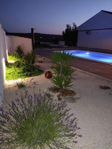 Velim House | Villa Belvedere