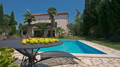 Kosinozici Villa | Villa Micheline