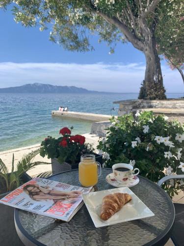 Gradac Apartment | Villa Orca