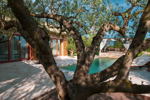 Sveti Filip i Jakov House | Villa Romance