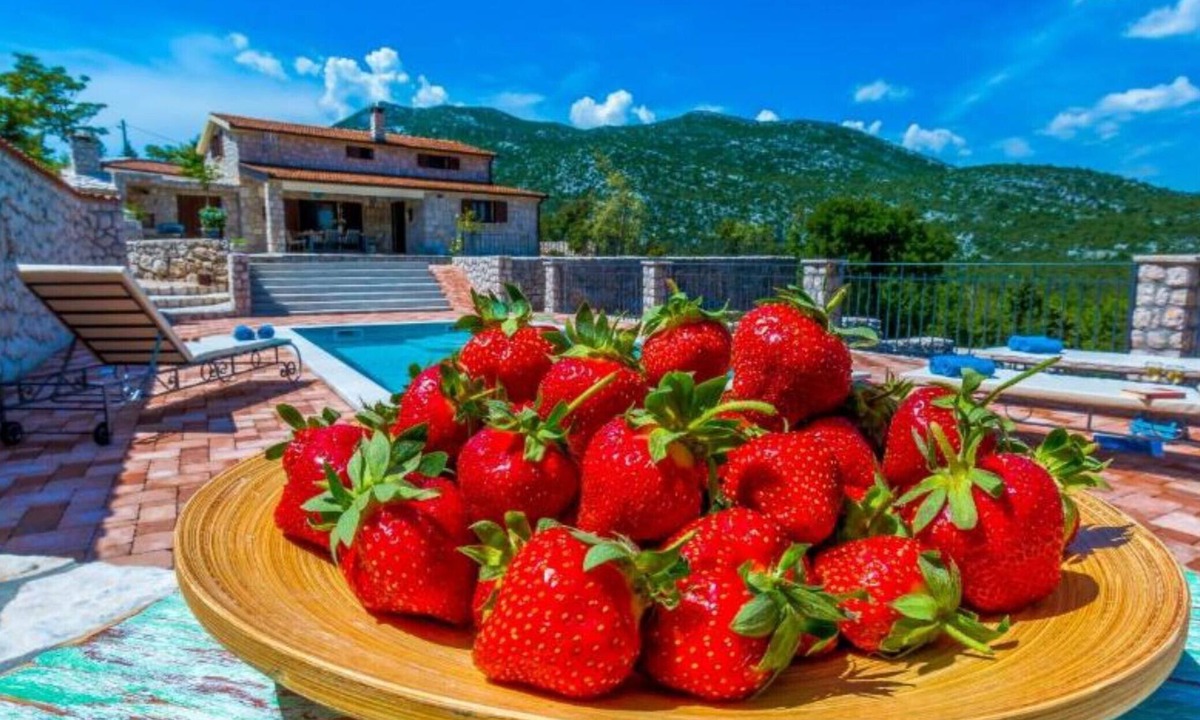 Vrgorac Villa | Villa with swimming pool