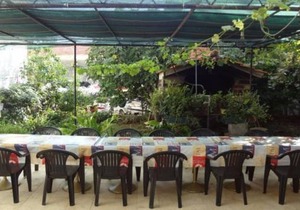 40 m² Apartment ∙ 1 bedroom ∙ 4 guests in Tribunj
