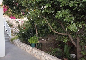 50 m² Apartment ∙ 1 bedroom ∙ 4 guests in Hvar