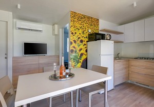 Adriamar Mobile Homes in Camping Park Umag /Adriamar 2443 Park Umag
