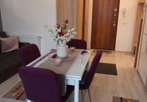 Apartament 2 camere in Chiajna