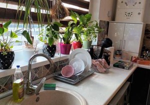 Apartament 2 camere in Chiajna
