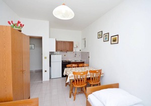 Apartment ∙ 1 bedroom ∙ 4 guests in Jadrtovac