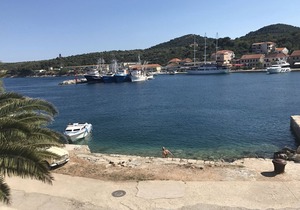 Apartment Svetka - 10m from the sea: A4(2) - Sali, Island Dugi otok, Croatia