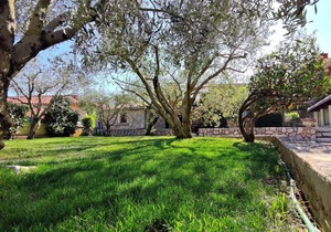 Apartments Darko, (14139), Krk, hr