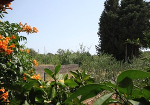 Studio flat with terrace Sušica, Ugljan (AS-8265-a) in Ugljan