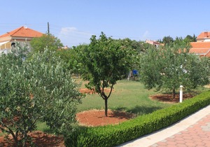 Studio flat with terrace Sušica, Ugljan (AS-8265-b) in Ugljan