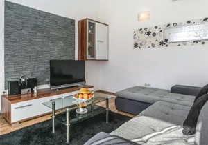 Three-Bedroom Apartment In Donja Ostrvica