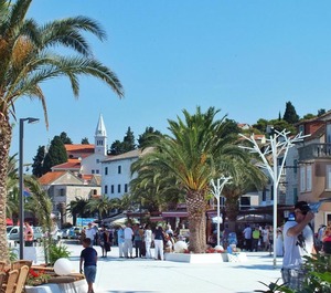 Jerkunica 