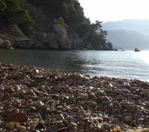 Mimice Outdoor Swimming 