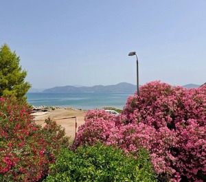 Beach Drače Pelješac 