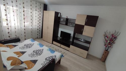 Ramnicu Valcea Apartment | Închiriez garsonieră Regim hotelier