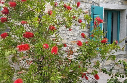 Nova Vas House | 100 Years Old Stone House